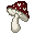 Fly agaric